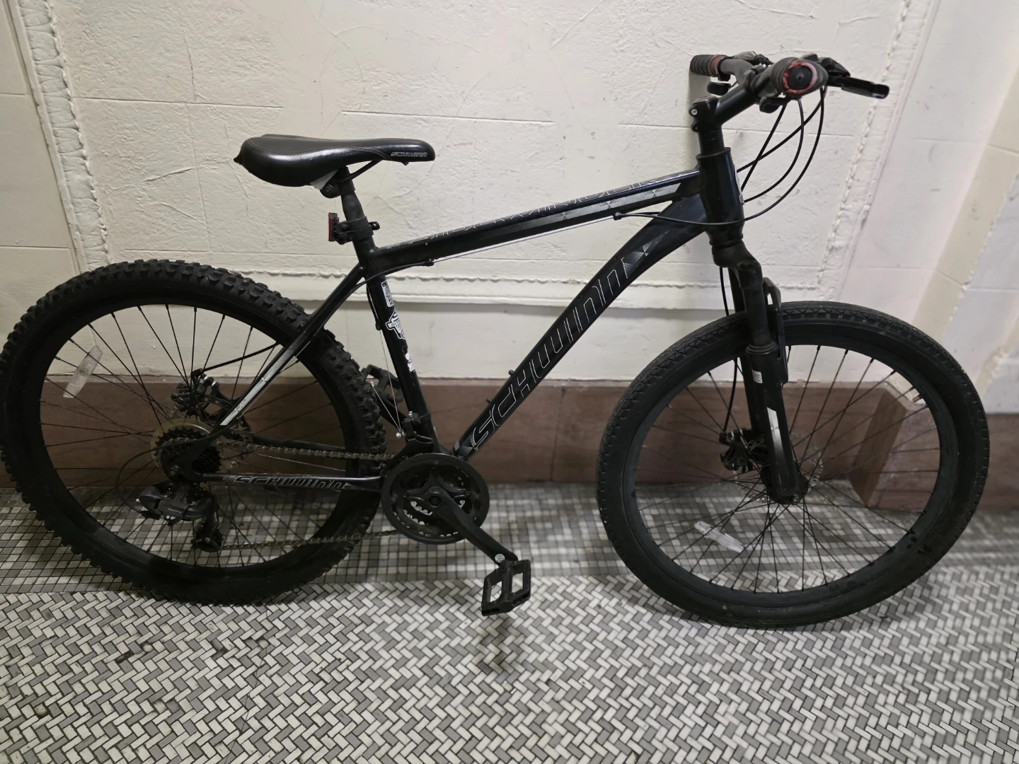Schwinn mtb bikr