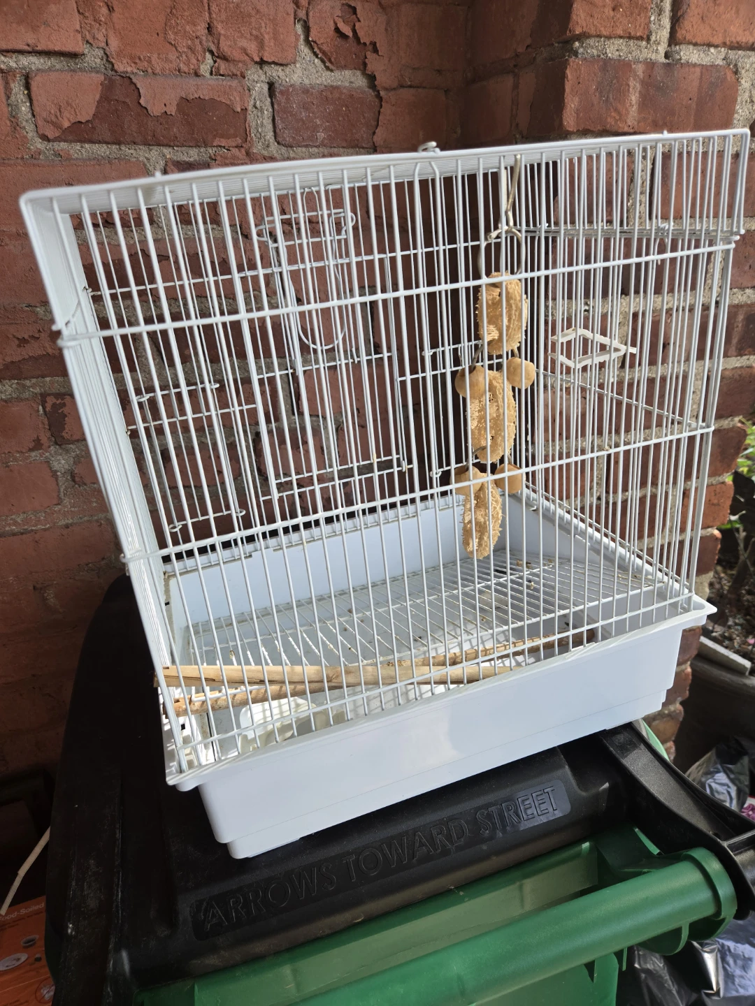 White Bird Cage with Perches and Chew Toy