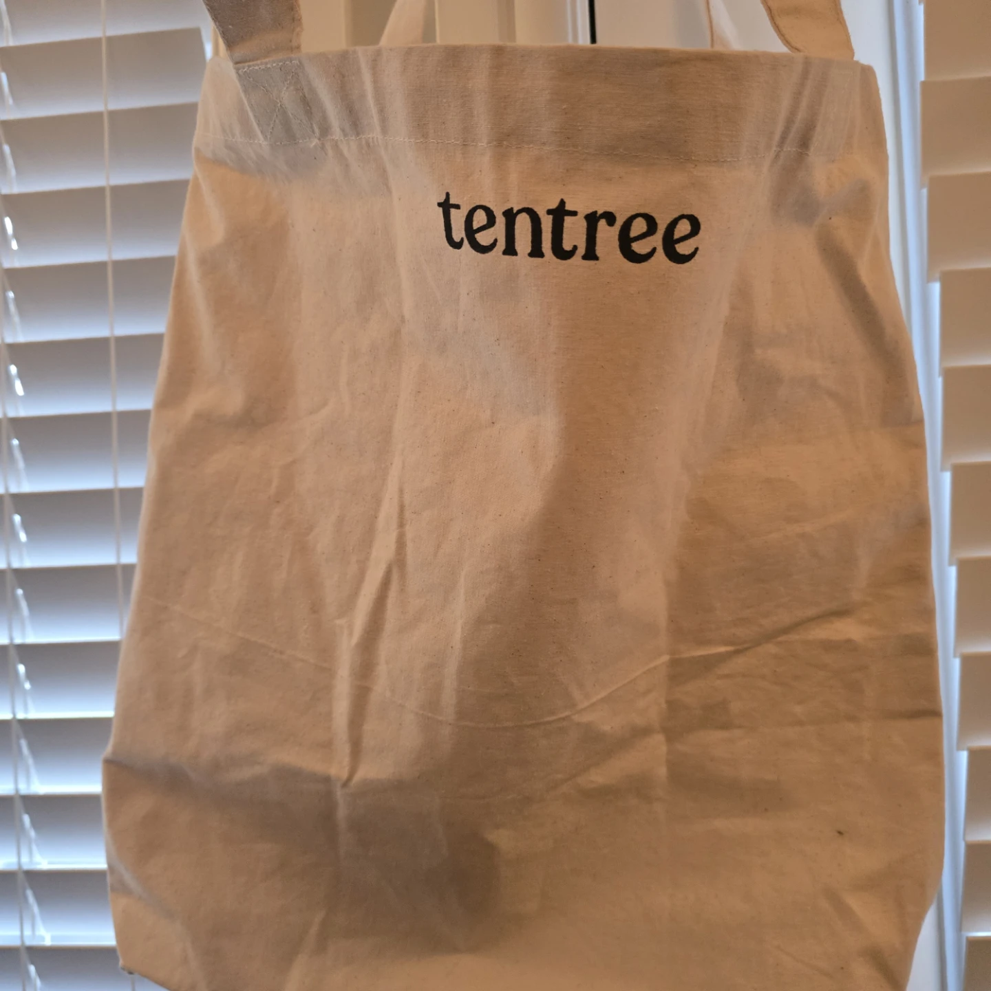 Tentree "There Is No Planet B" Tote Bag - photo 2