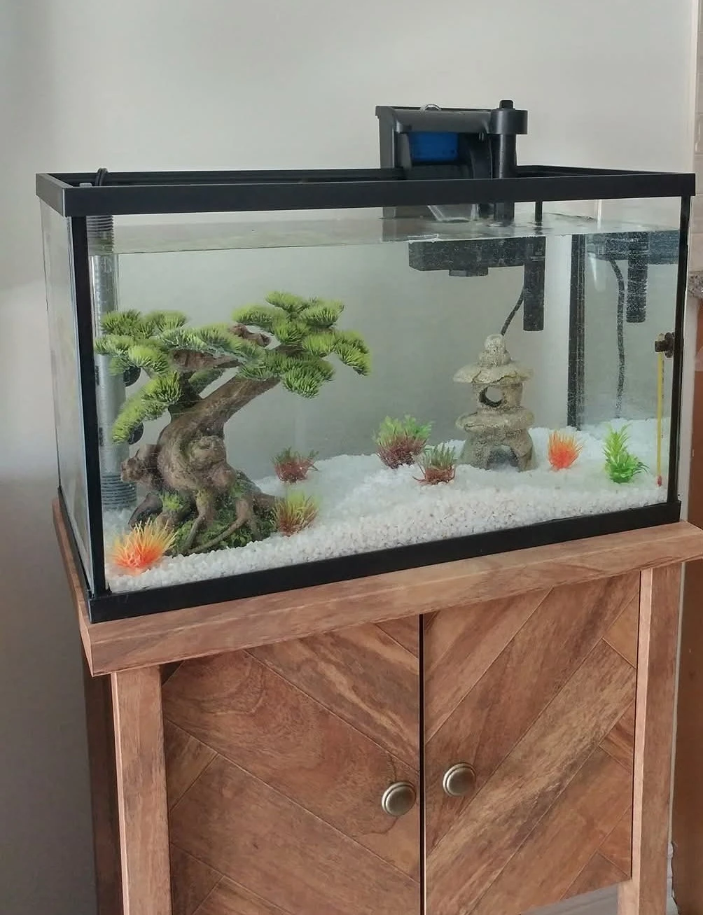 Aquarium with decor and filter