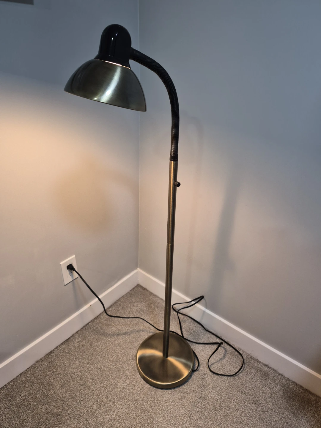 Adjustable Gooseneck Floor Lamp