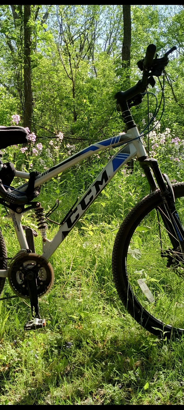 A bike with dual suspensions just $250 due to travel - photo 4