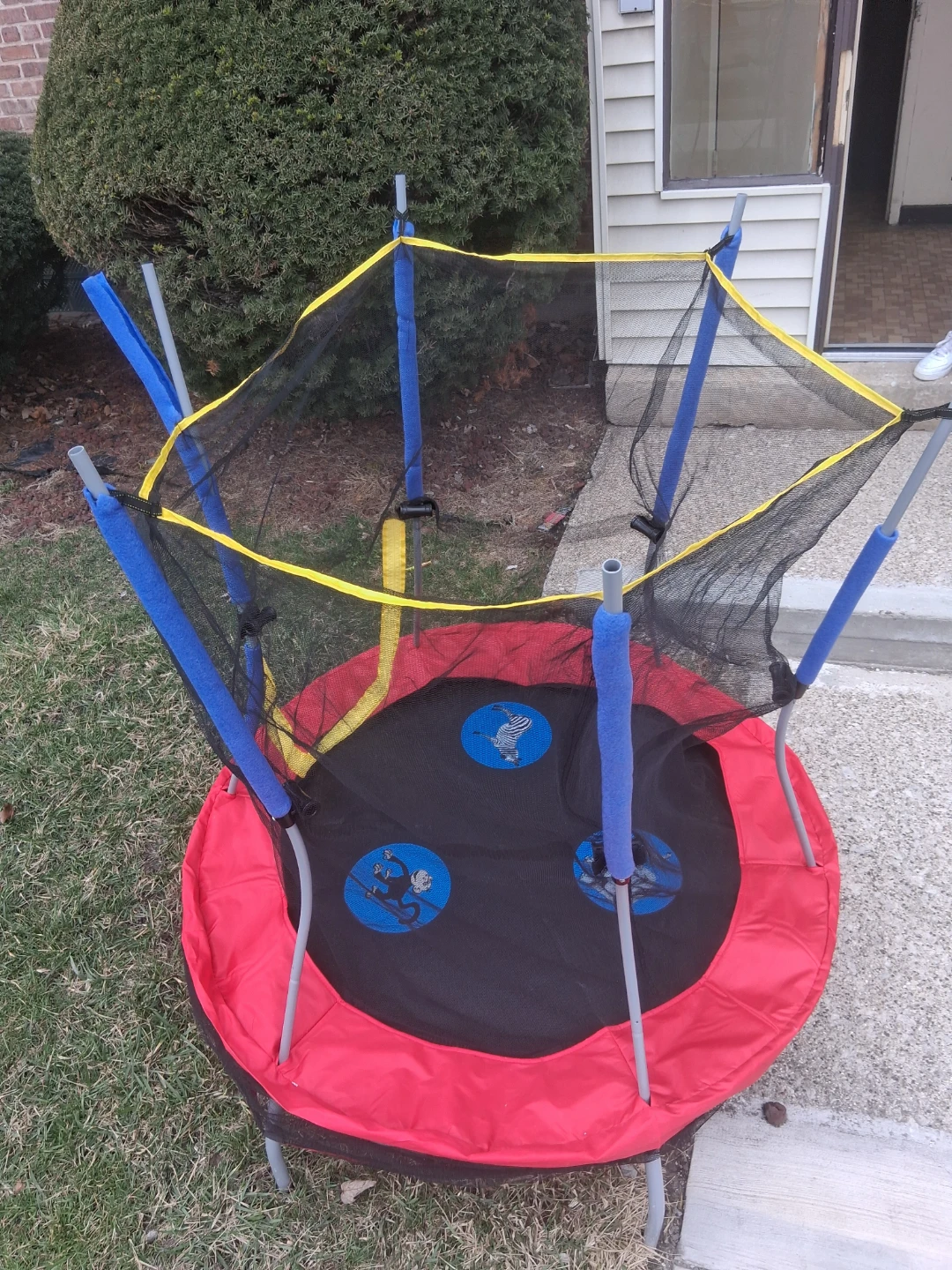 Skywalker Trampolines Mini Trampoline with Enclosure Net