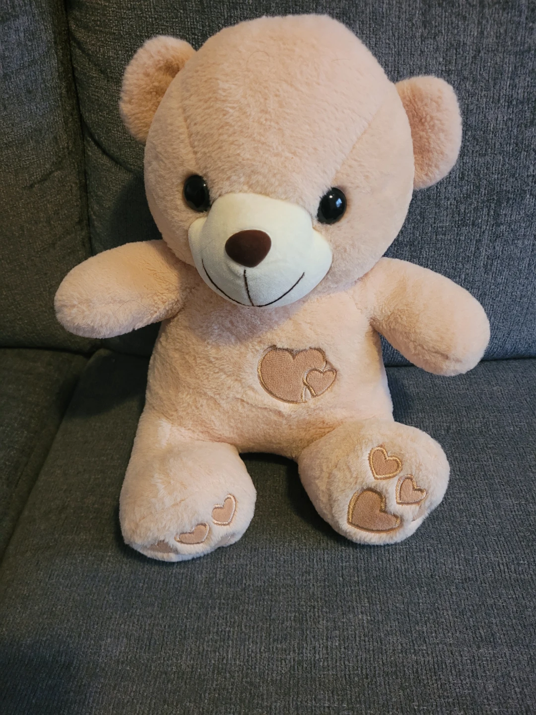 Light Pink Teddy Bear with Hearts