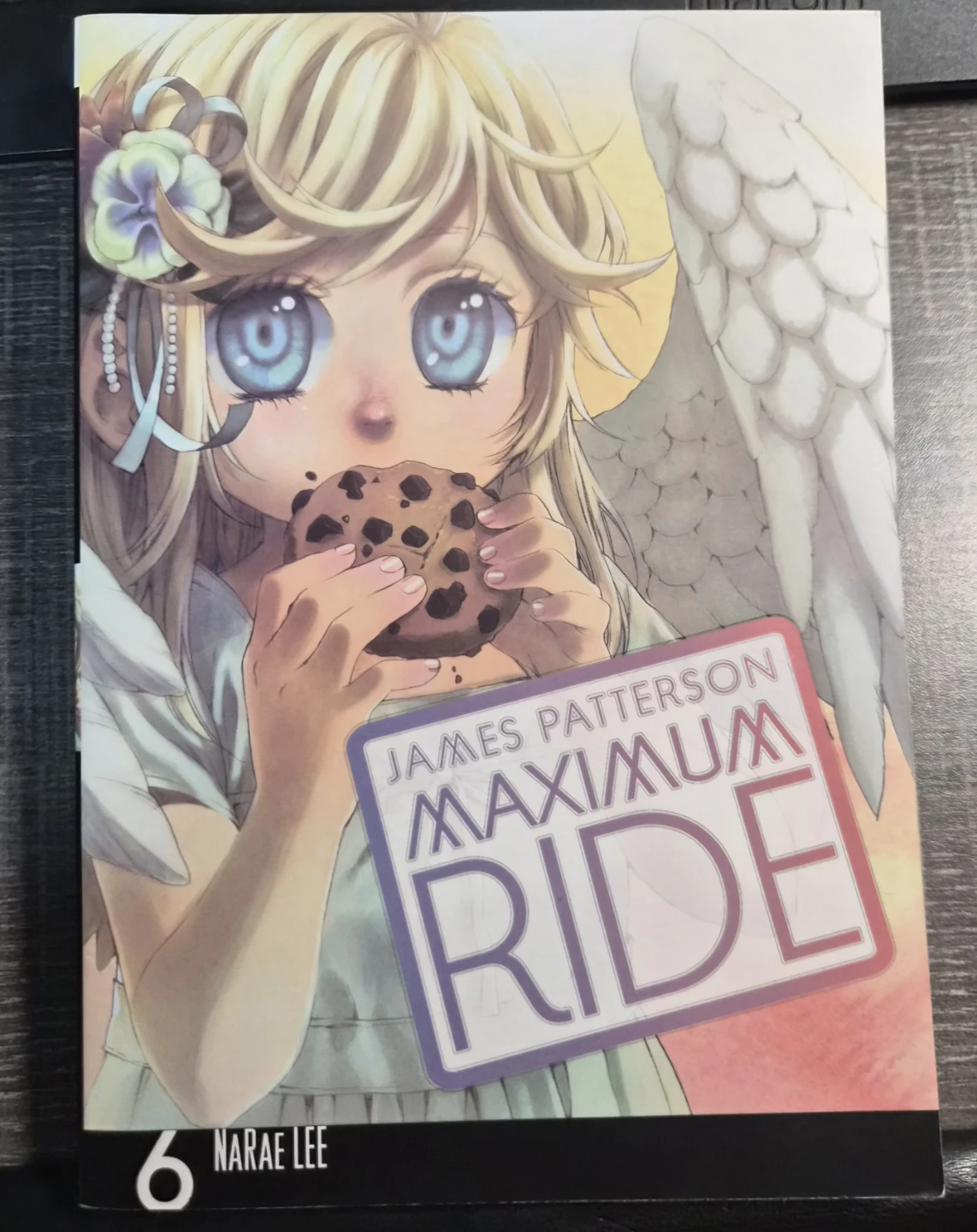 Maximum Ride 6 Graphic Novel