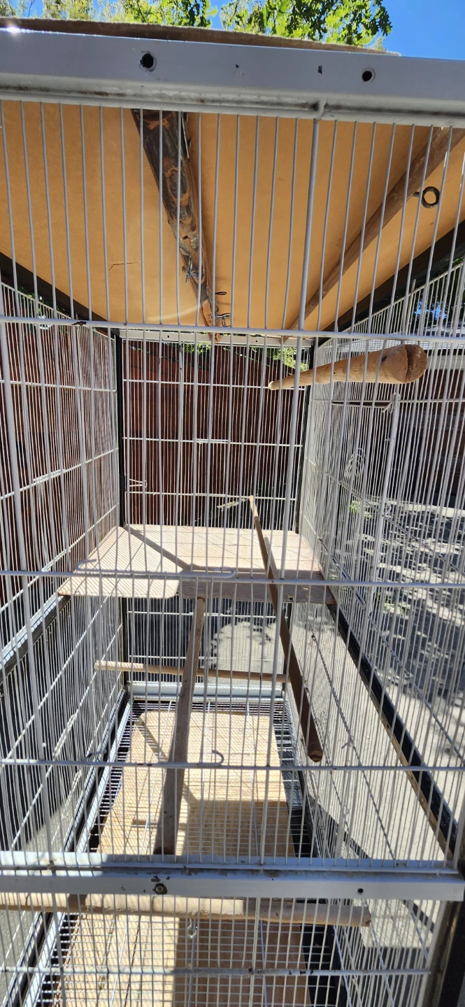 Flight cage in good condition - photo 4