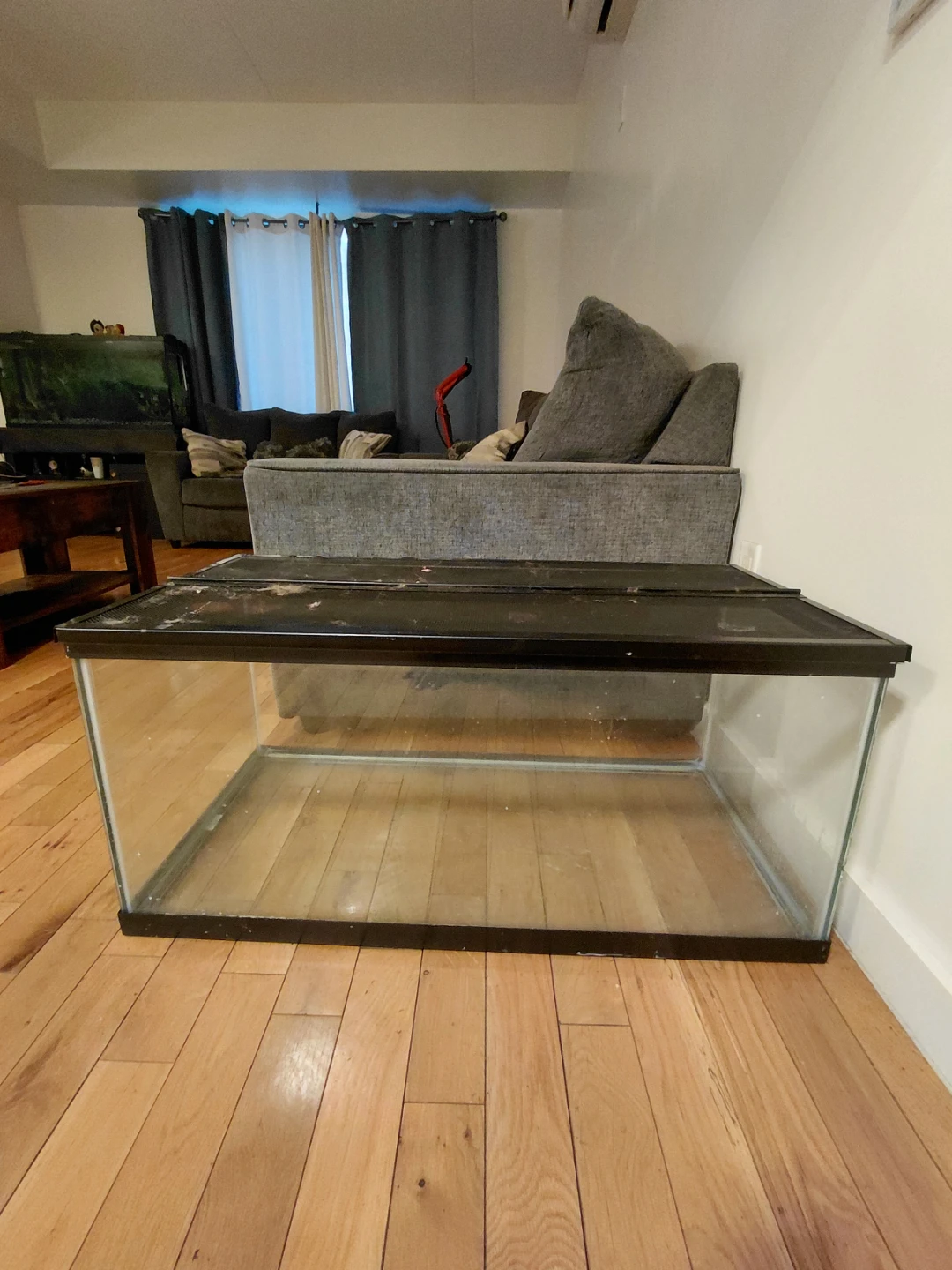 Fish tank with cover