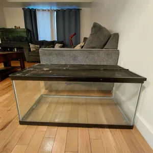 Fish tank with cover