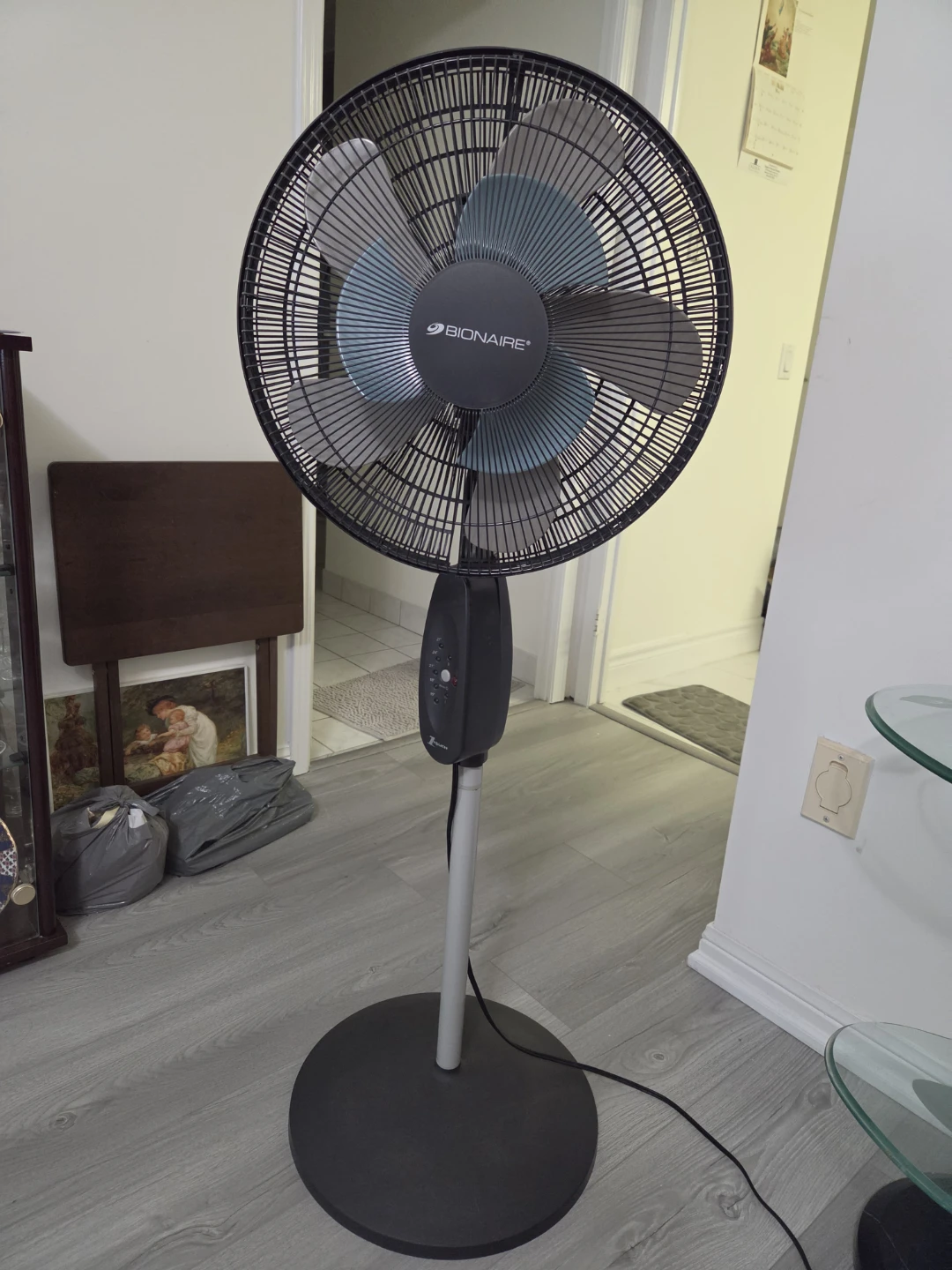 Bionaire Stand Fan
