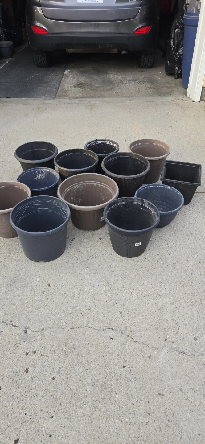 Assorted Plastic Plant Pots