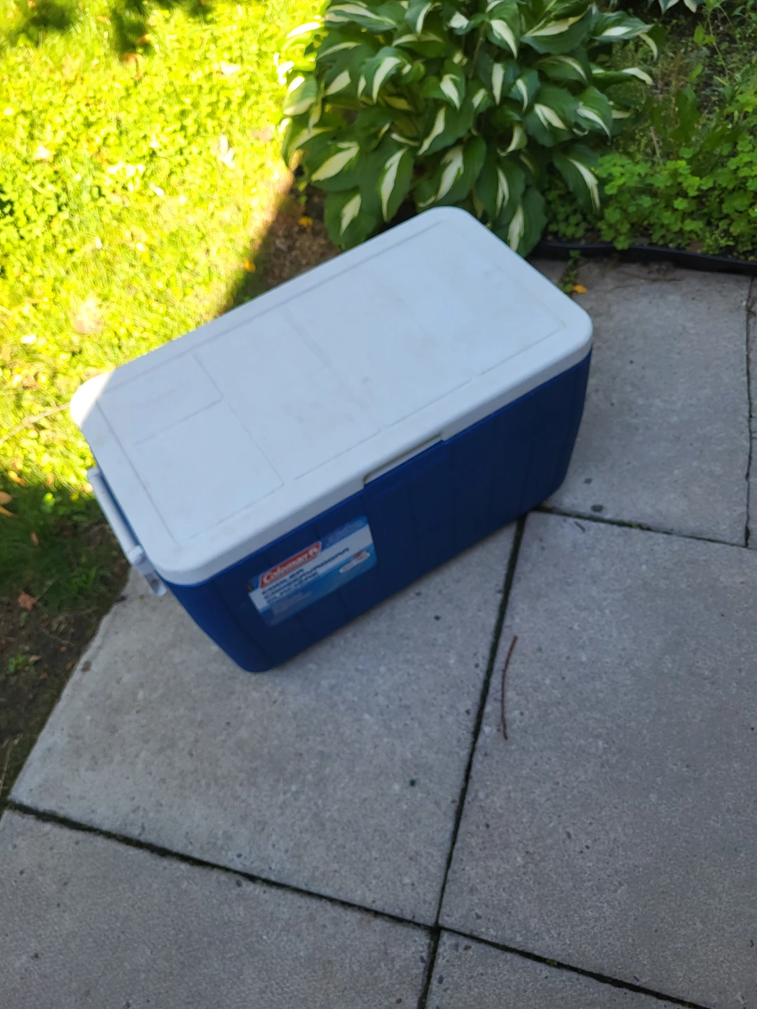 48 Quart Coleman Cooler