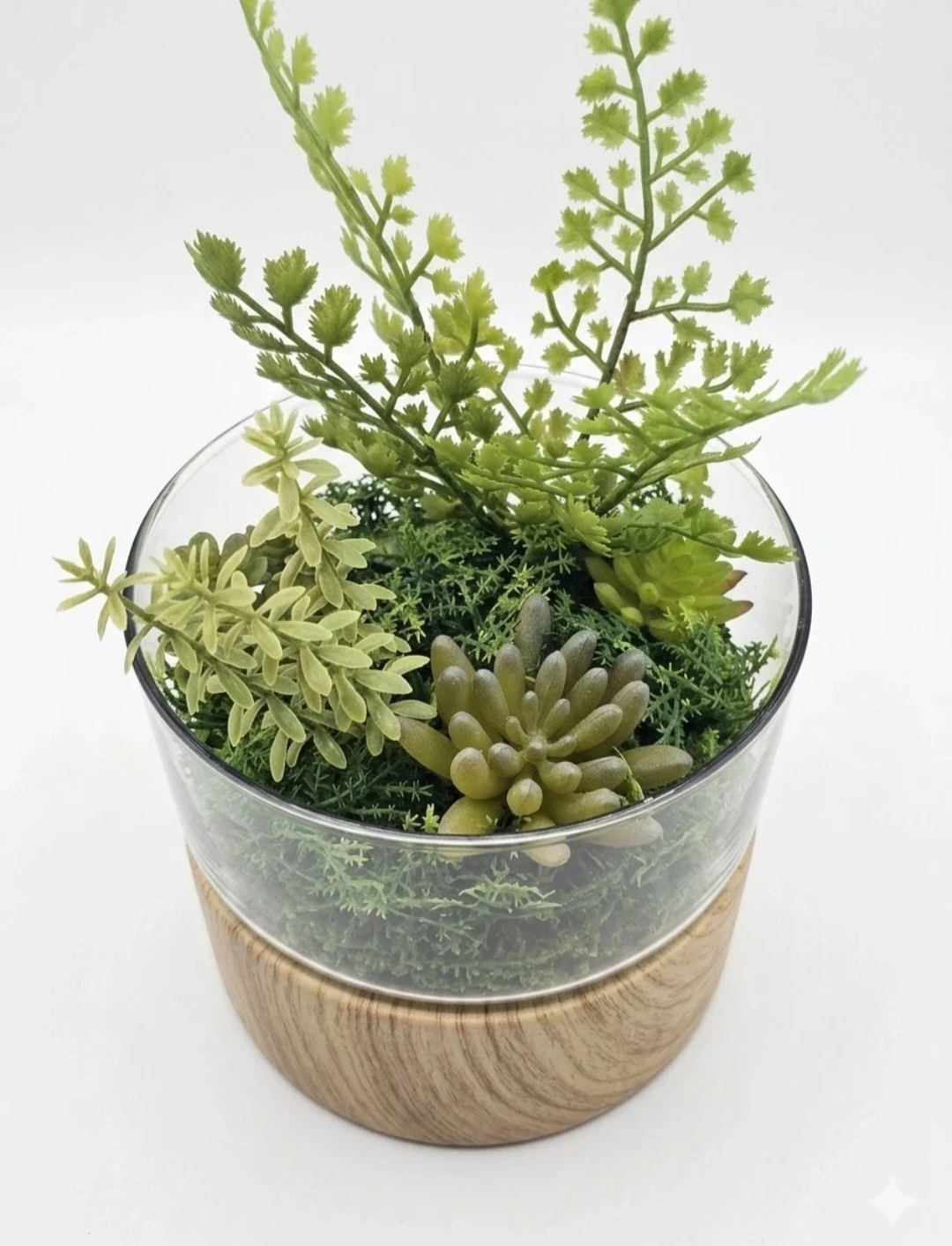 Artificial Fern & Succulent Terrarium