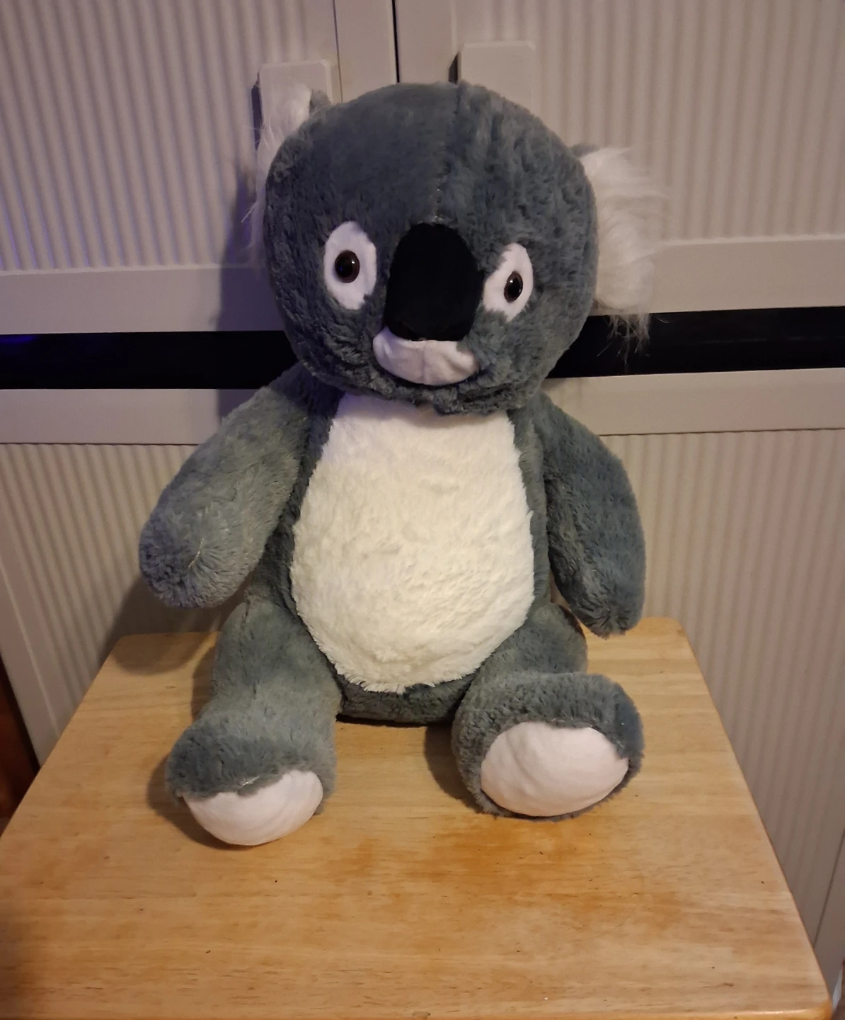 Koala bear Stuffed animal
