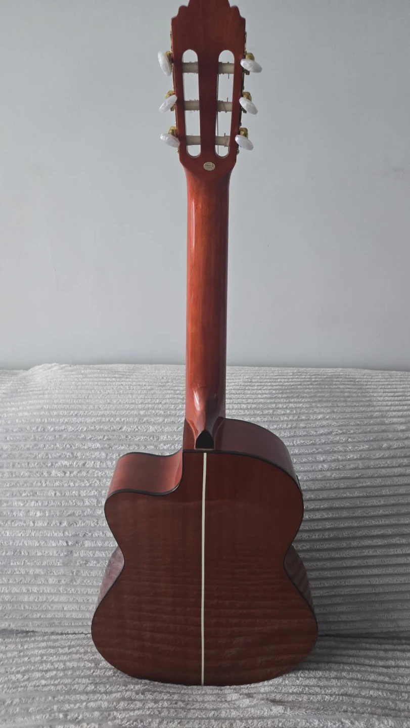 WINZZ Acoustic Electric Guitar with Gig Bag - photo 4
