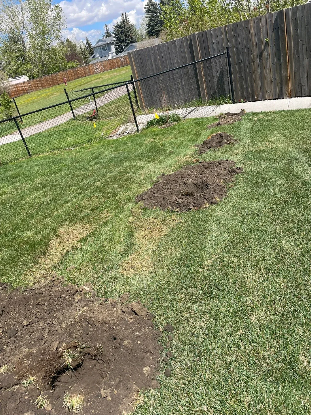 Auger Drill & Mini Skid Steer - photo 2