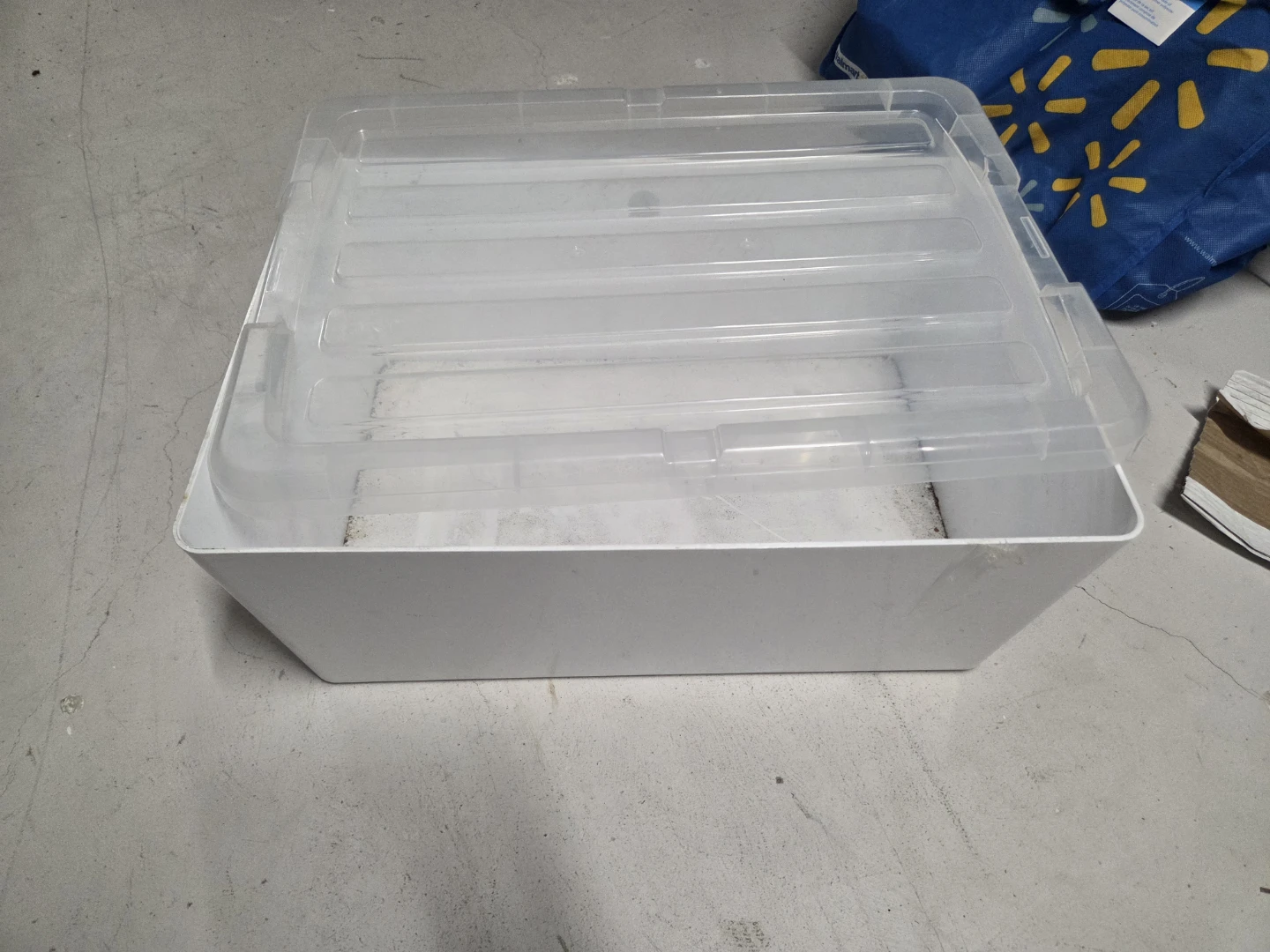 Clear Plastic Storage Bin with Lid - photo 5