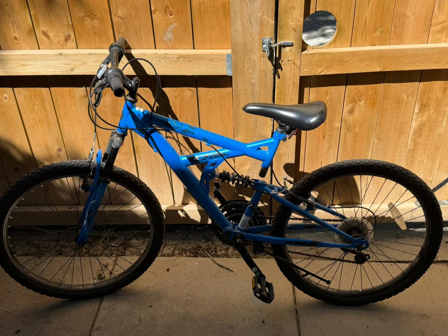 Blue Bike