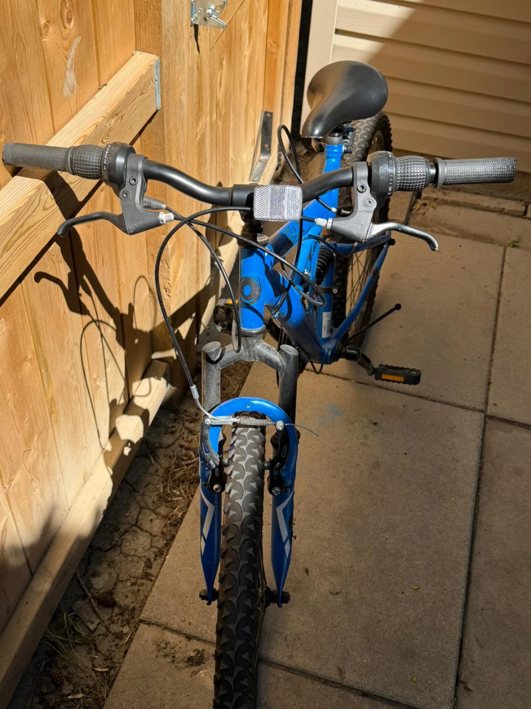 Blue Bike - photo 3