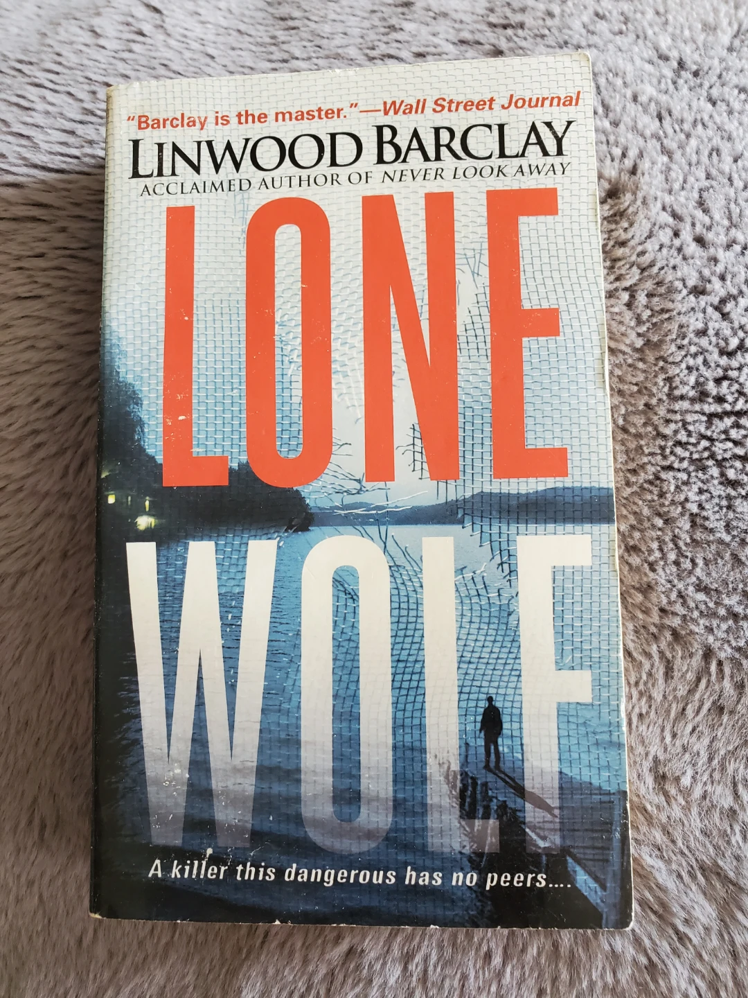 Lone Wolf by Linwood Barclay ⚽