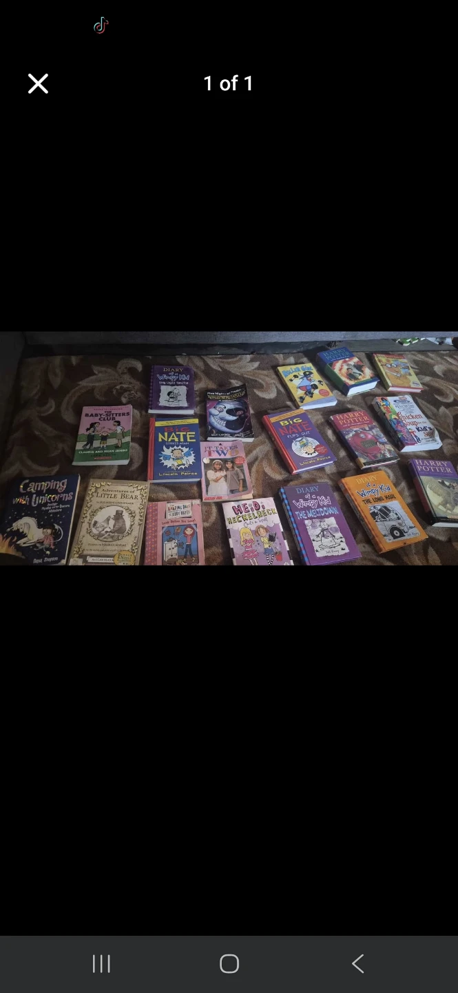 Assorted Children's Books Bundle