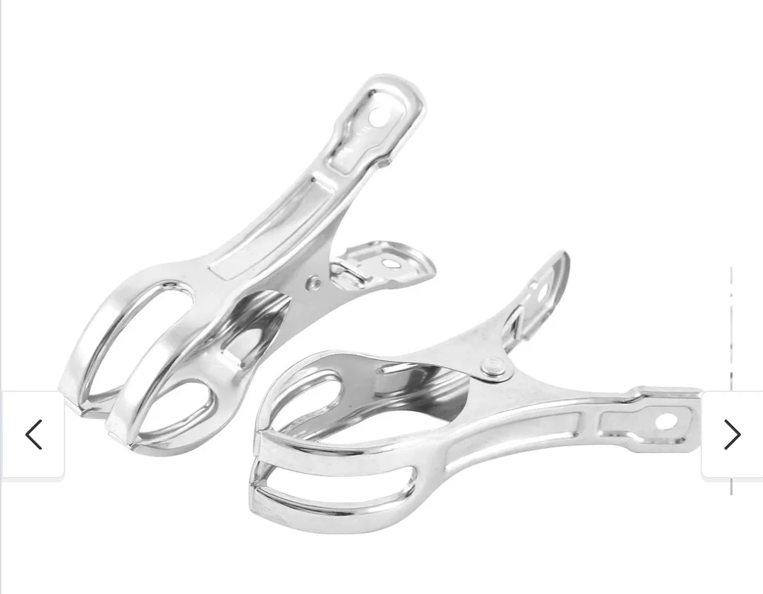 Set of 10 Stainless Steel Clothes Clips