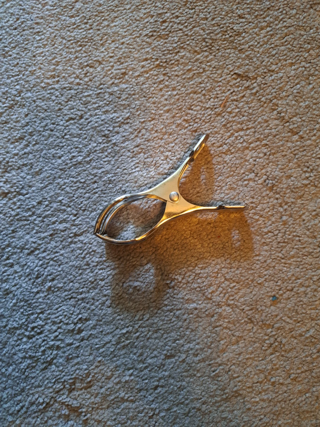 Set of 10 Stainless Steel Clothes Clips - photo 3