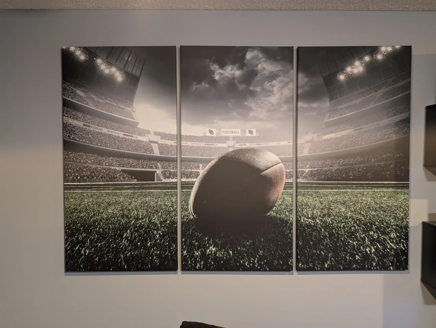 Football in a field Wall art canvas