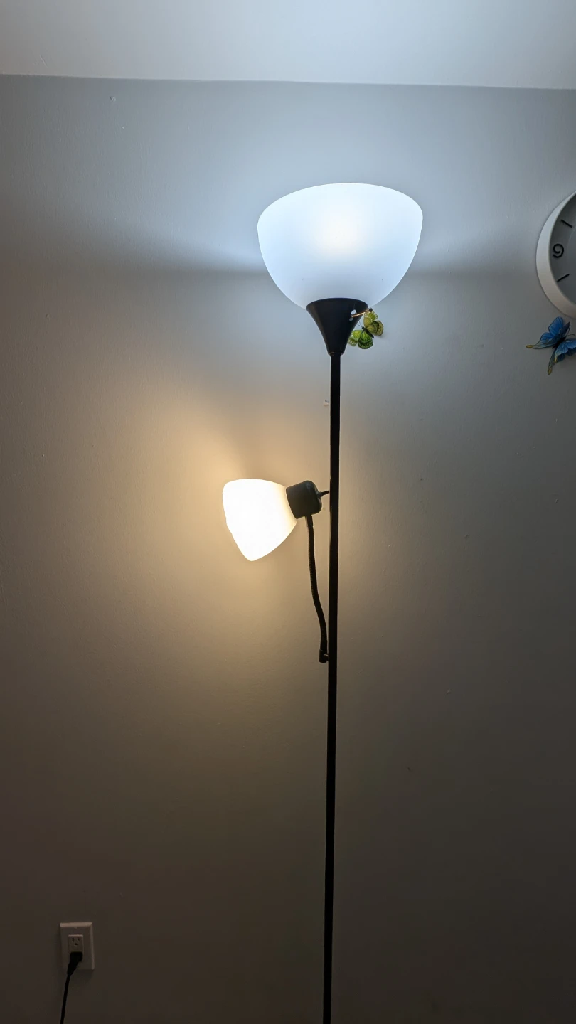 Black Floor Lamp with Frosted Shades