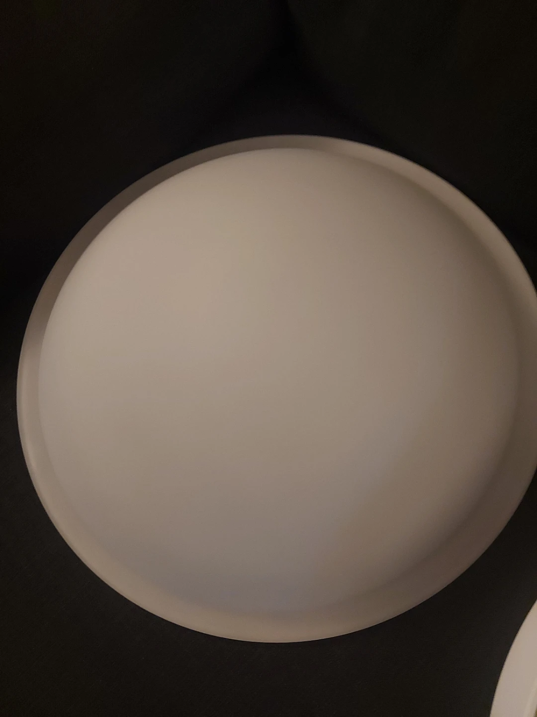 White Flush Mount Light Fixture - photo 2