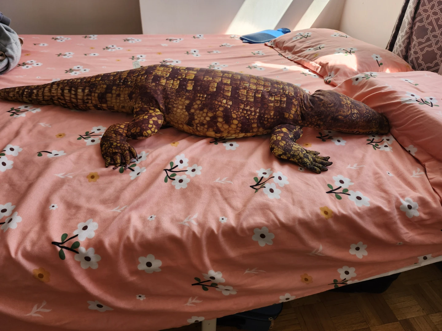 Large Crocodile Plush Toy
