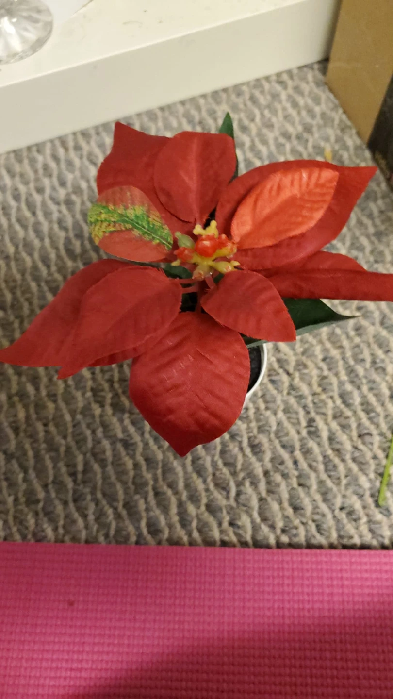 Artificial Poinsettia Plant ⚽