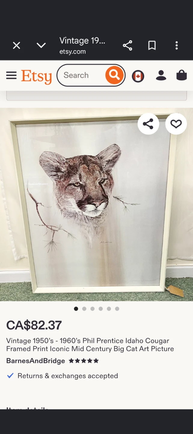 Vintage 1950's-1960's Phil Prentice Cougar Framed Art Print