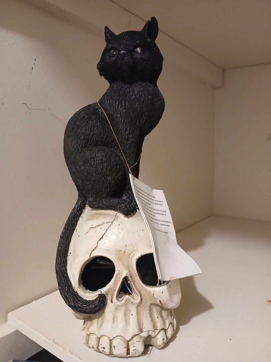 Halloween Black Cat on Skull Figurine