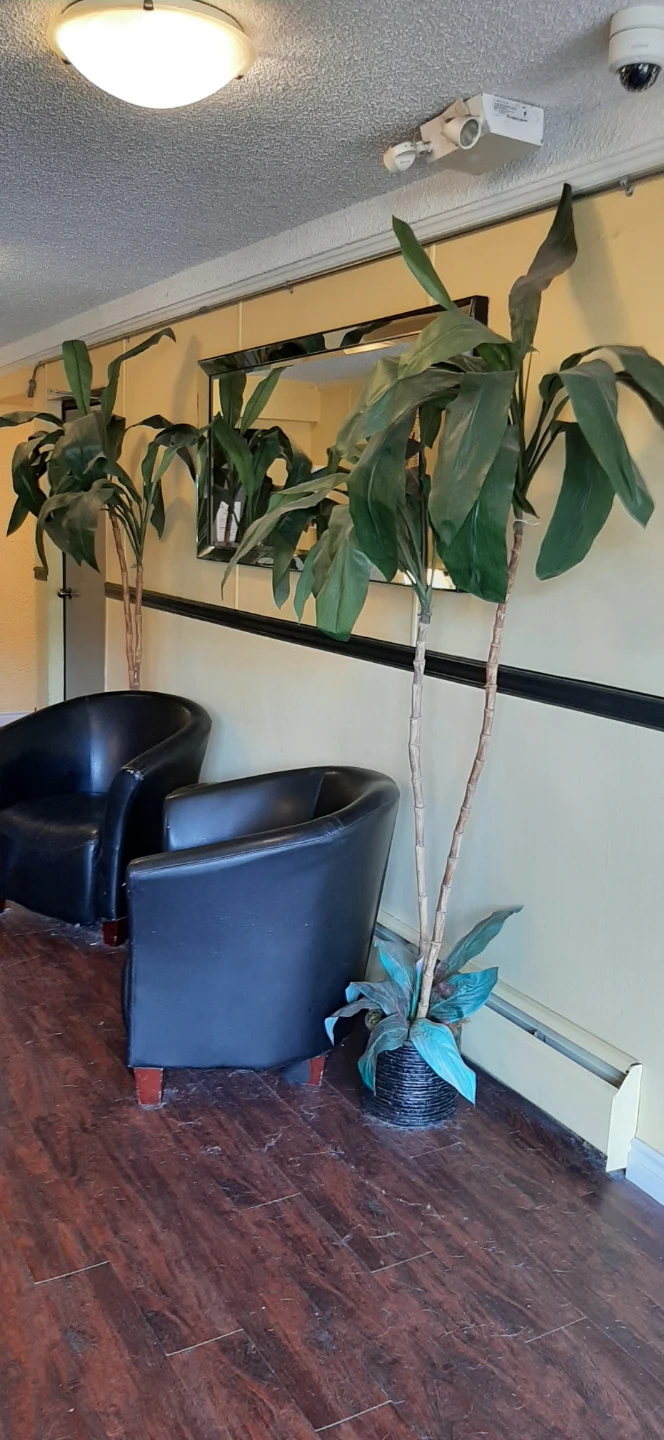 Artificial Palm Trees