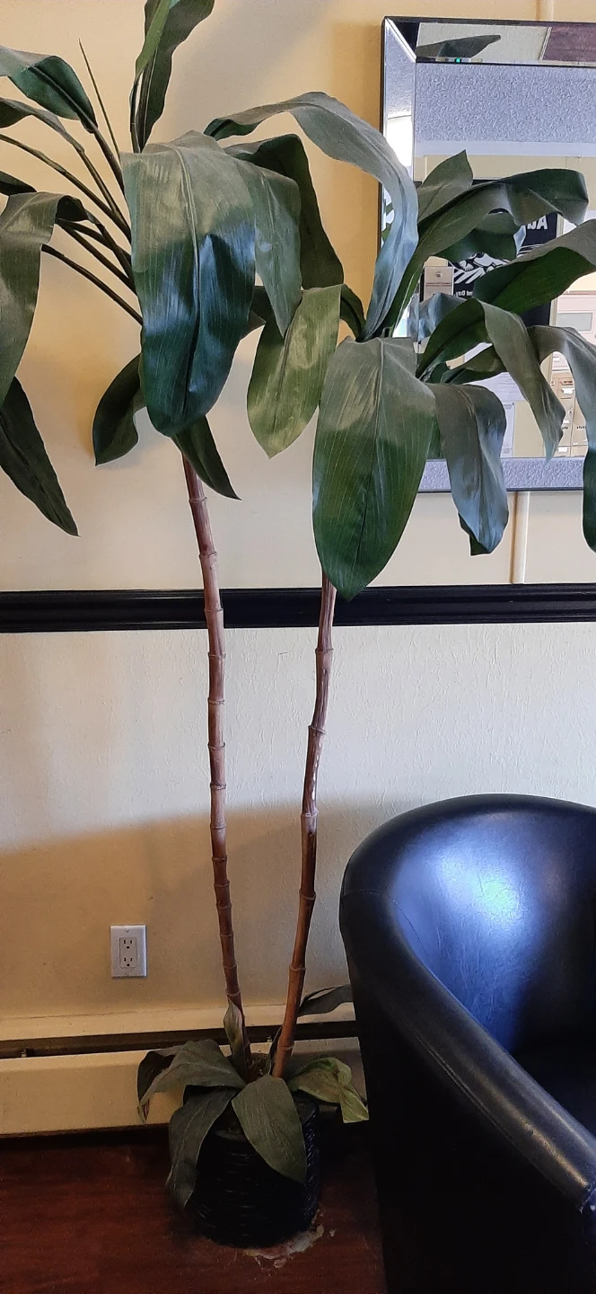 Artificial Palm Trees - photo 2