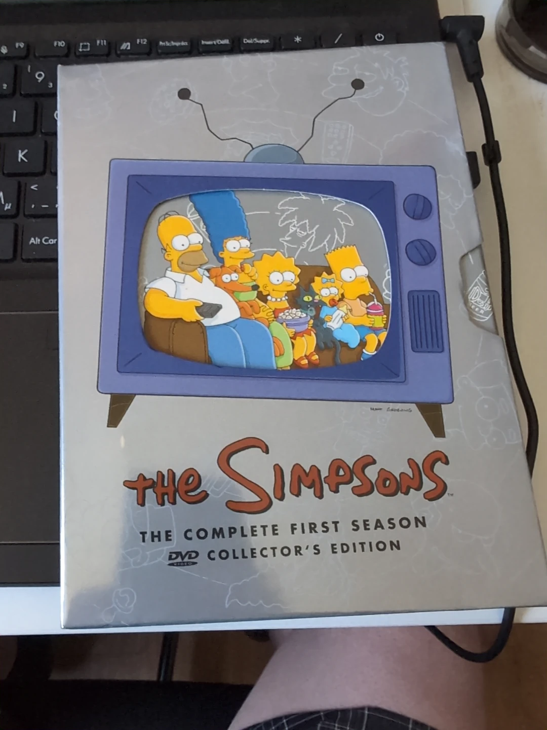 The Simpsons Complete First Season DVD Collector's Edition