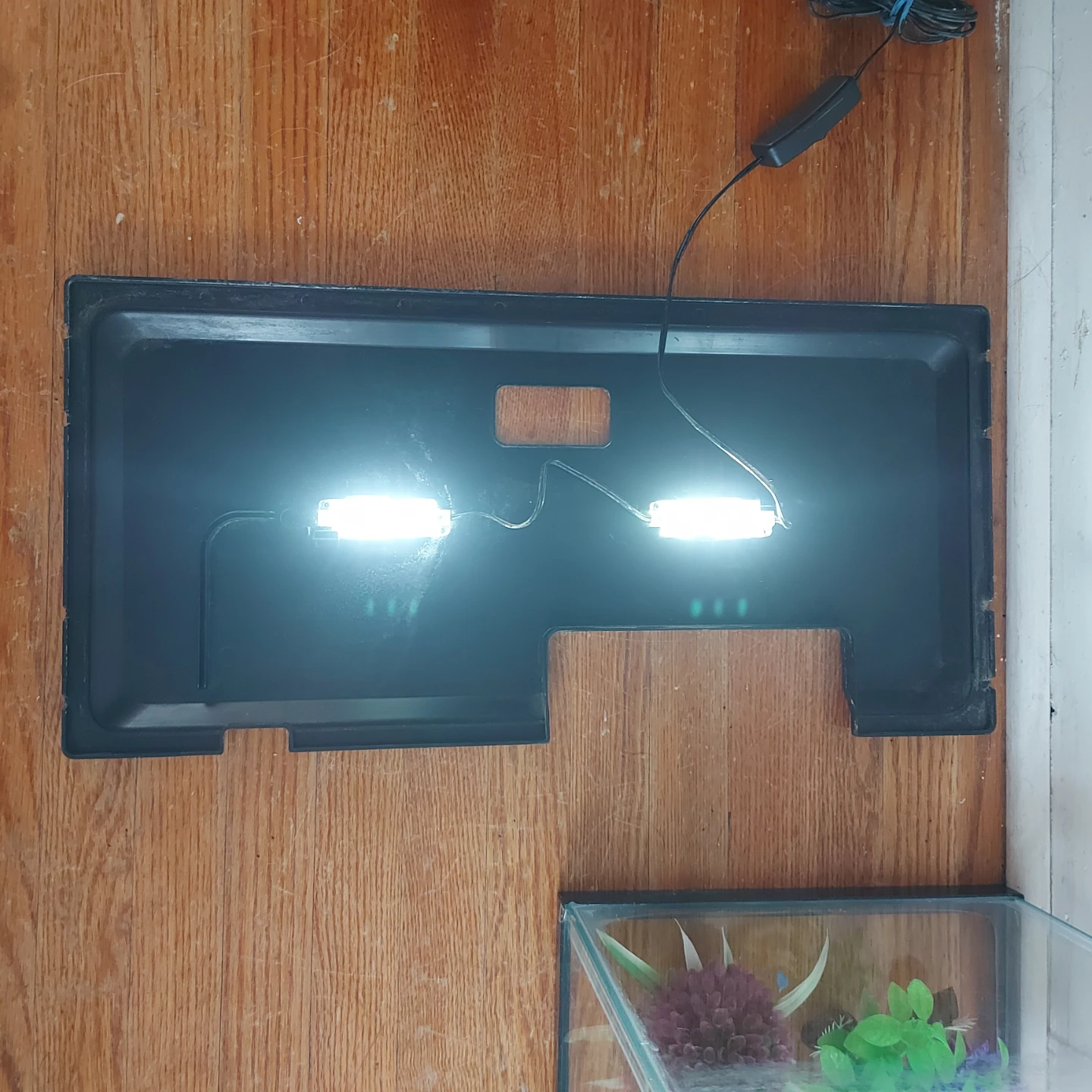 10 Gallon Aquarium Starter Kit with Lots Of Extras - photo 5