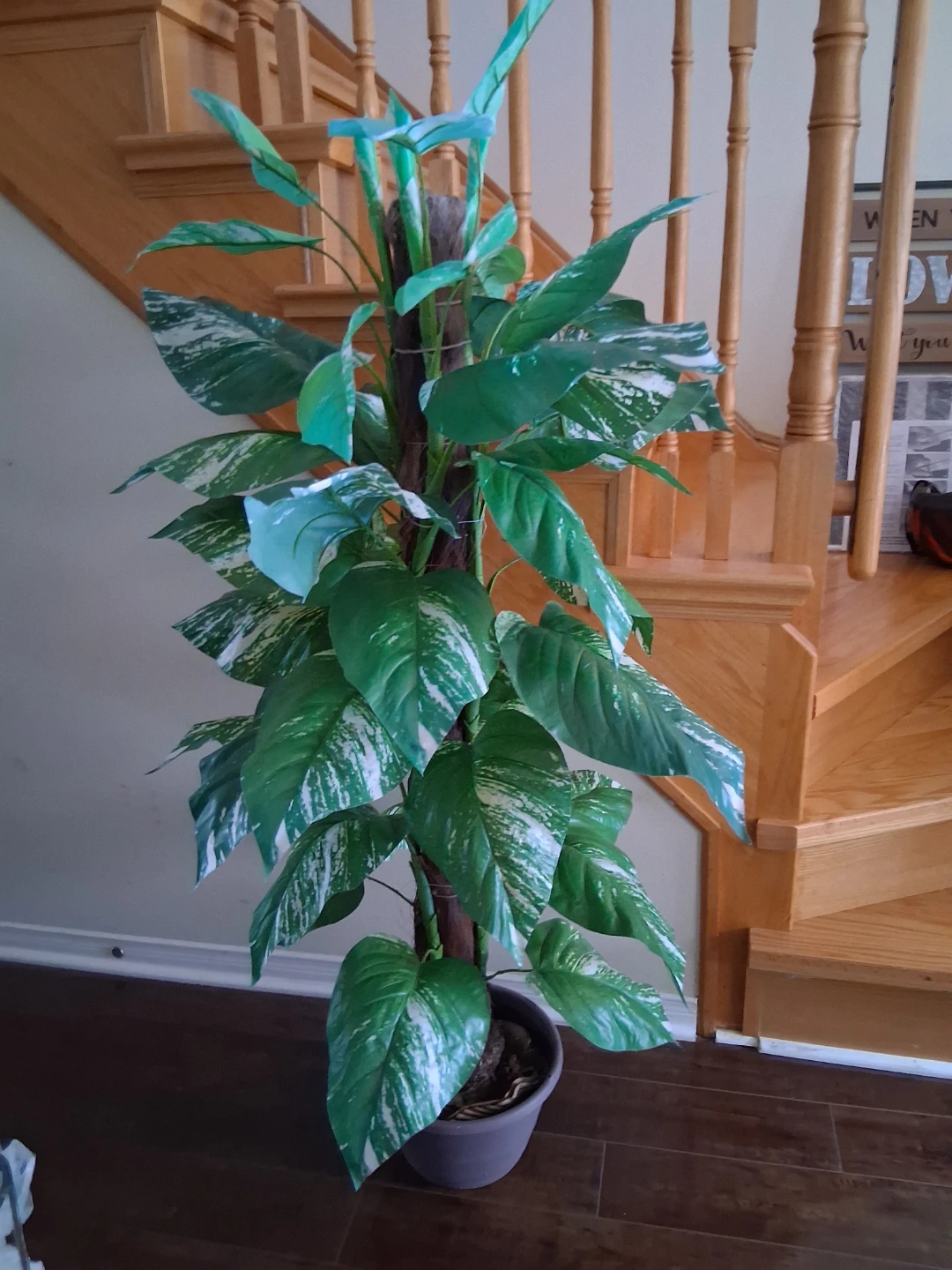 Artificial Pothos Plant in excellent condition