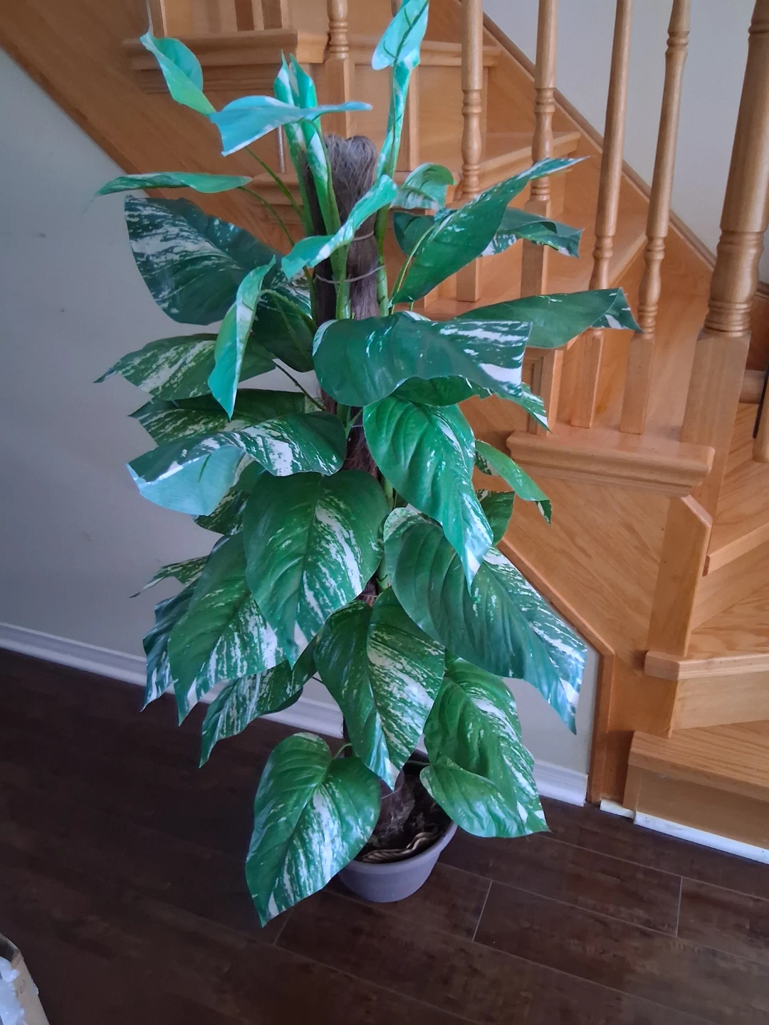 Artificial Pothos Plant in excellent condition - photo 2