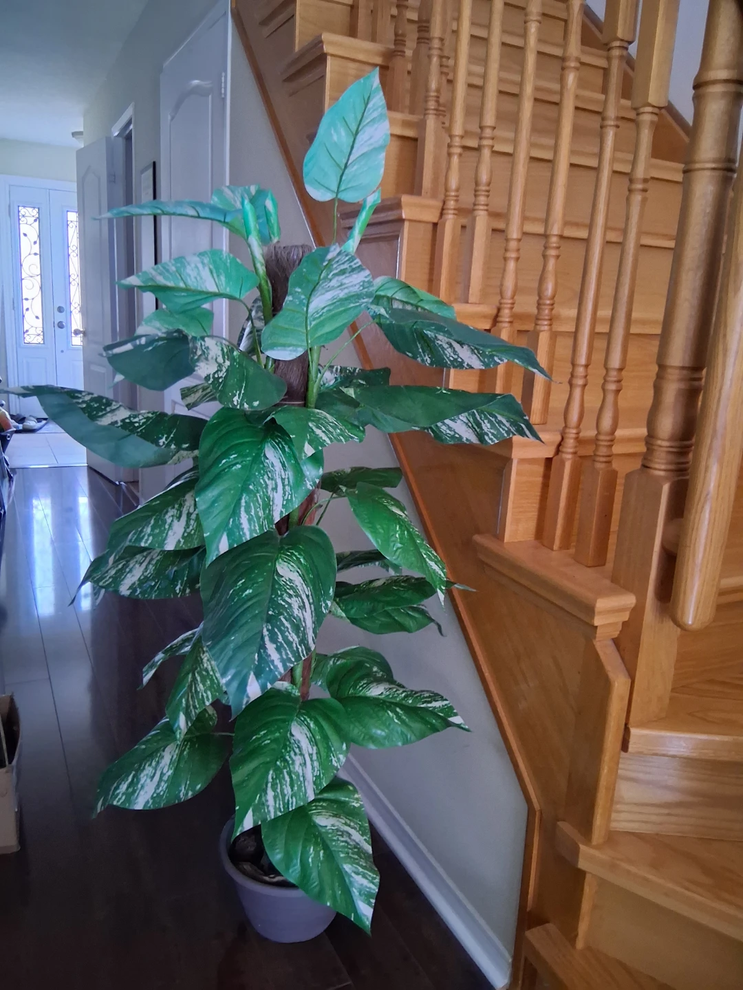Artificial Pothos Plant in excellent condition - photo 3