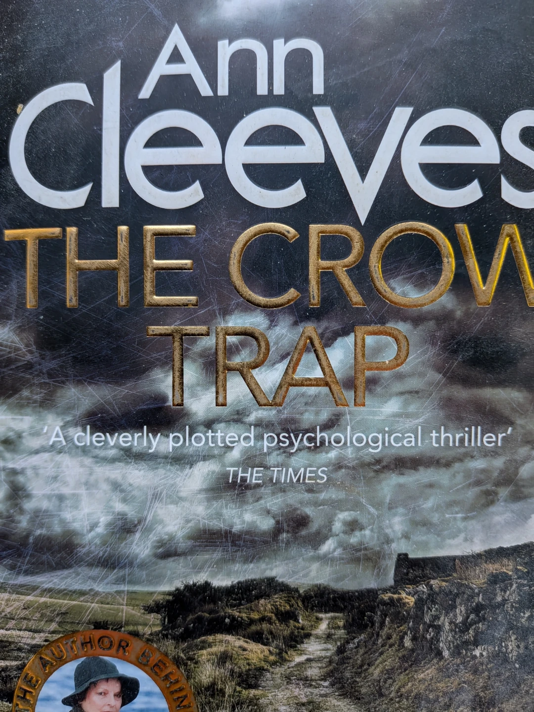 Ann Cleeves Novels - $5 each - photo 3