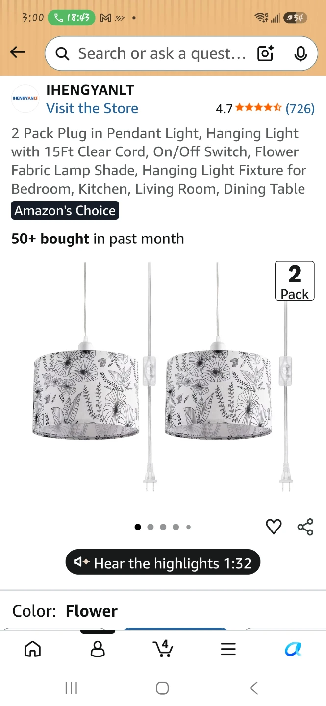 2 Pack Plug-in Pendant Lights