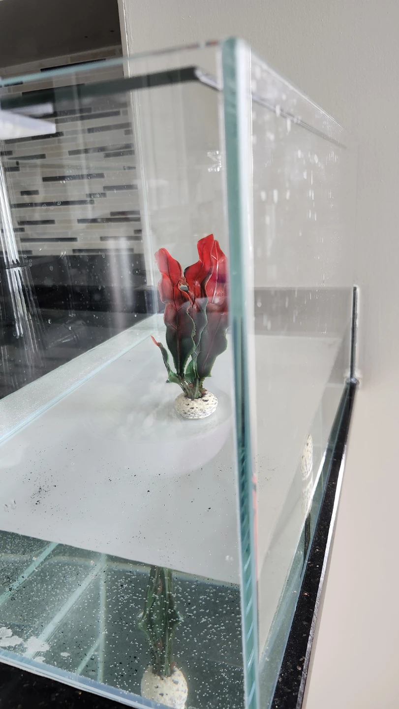 Clear rimless Glass Aquarium Tank - photo 3