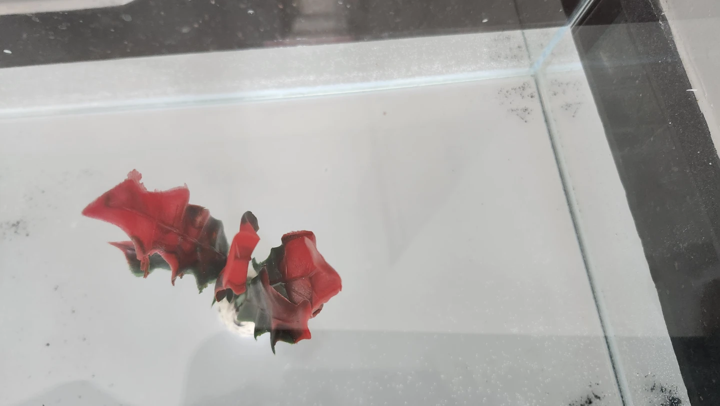 Clear rimless Glass Aquarium Tank - photo 5