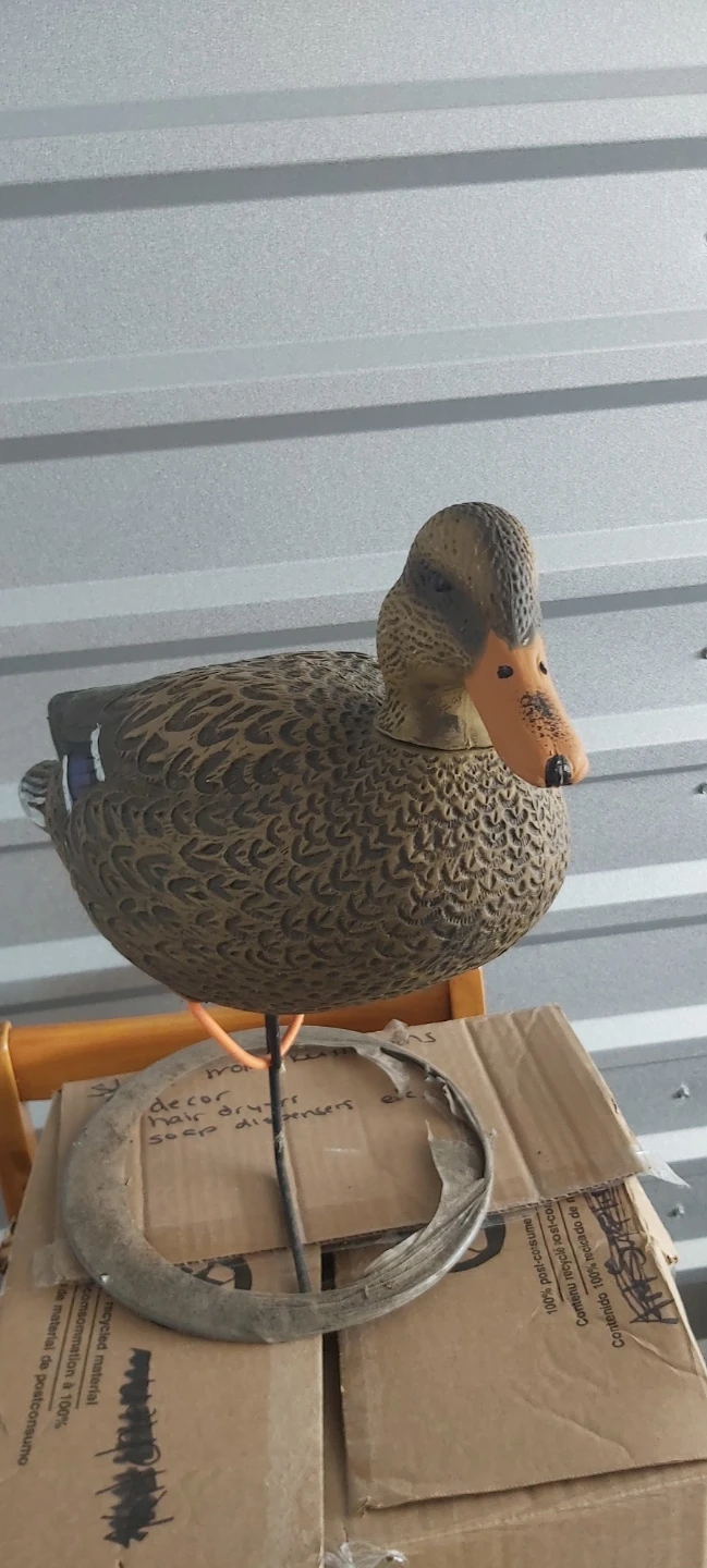 Mallard Duck Decoy
