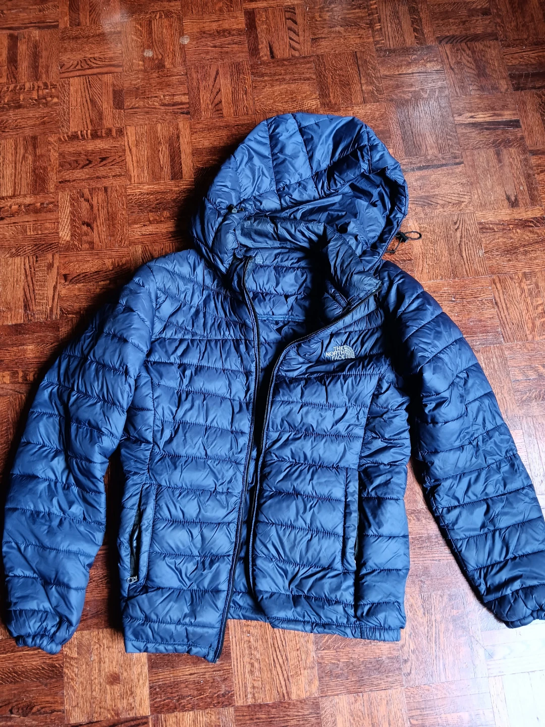 The North Face Blue Puffer Jacket with Hood