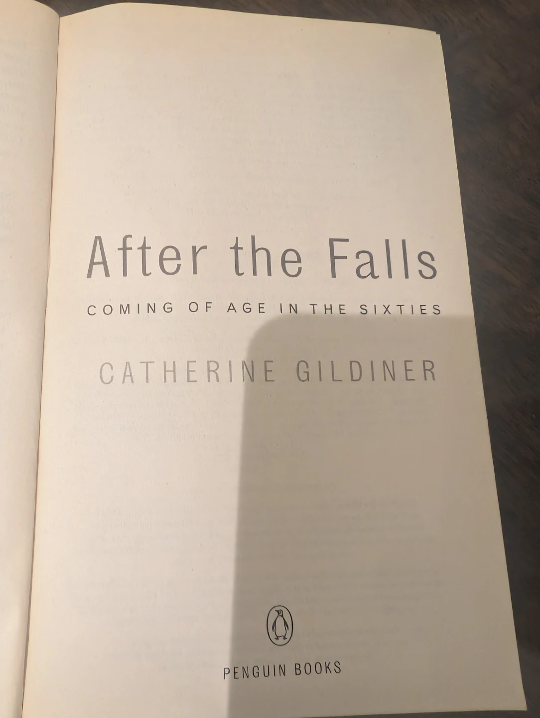After the Falls: Coming of Age in the Sixties - photo 4