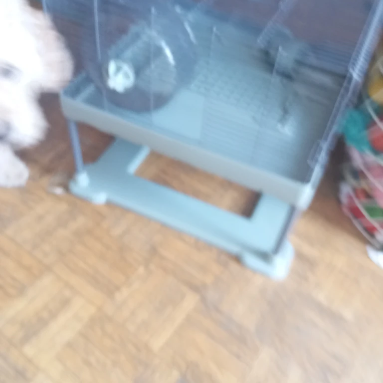 Small Pet Cage with Wheel