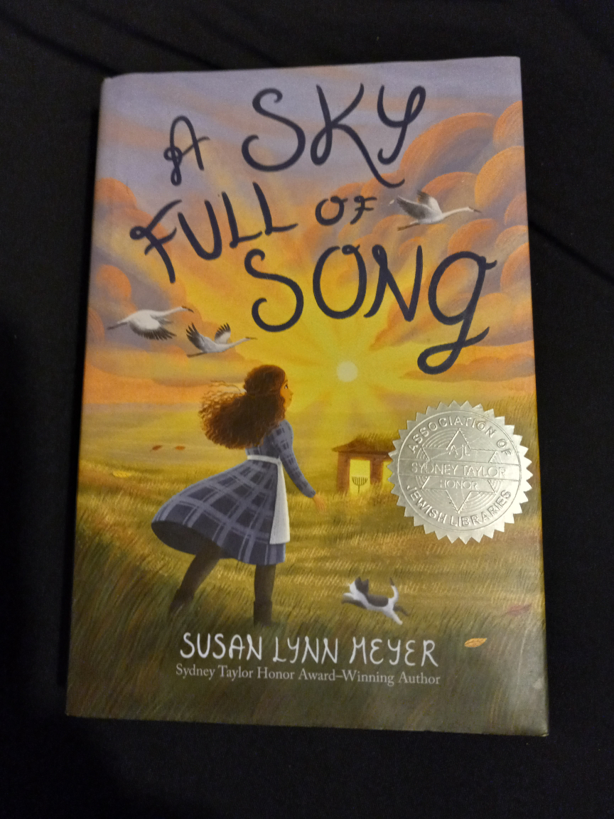 A Sky Full of Song by Susan Lynn Meyer⚽