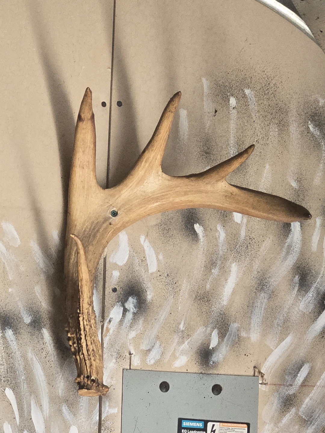 Deer Antler Wall Mount